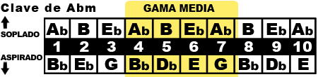 gama media